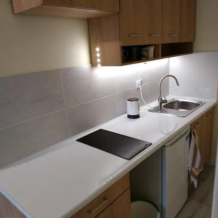 Tradycyjny Apartament Leo Apartamento Gliwice